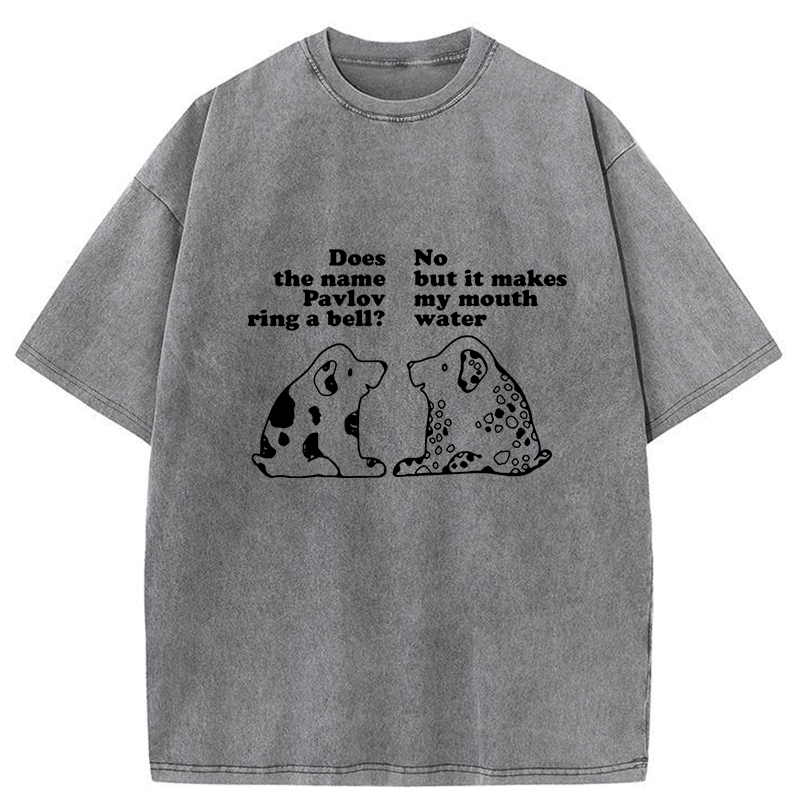Kyoto Lion Japanese Washed Unisex T-Shirt