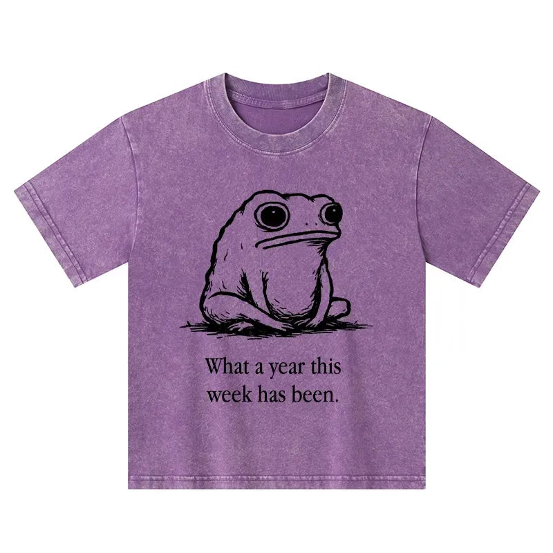 Kyoto-Lion Kids Washed T-Shirt for Daily Wear