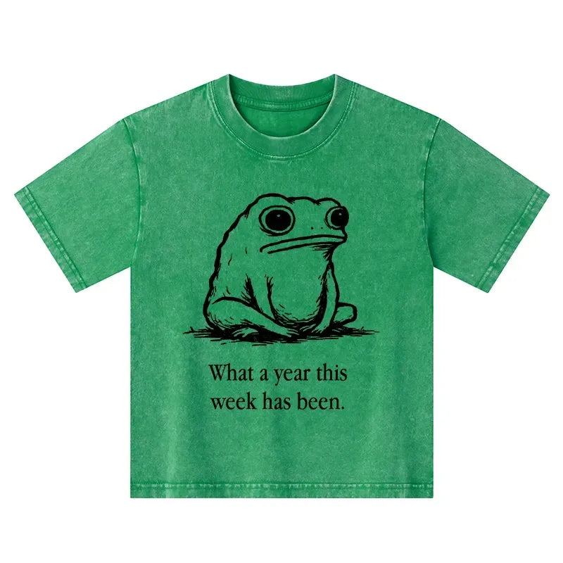 Kyoto-Lion This Week Feels Like A Whole Year Kids Washed T-Shirt