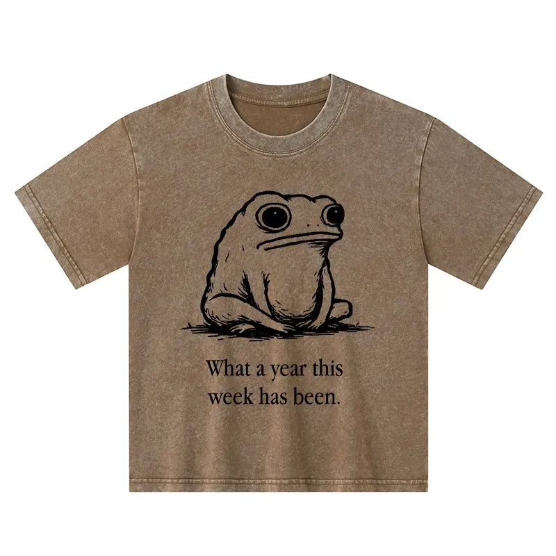 Kyoto-Lion This Week Feels Like A Whole Year Kids Washed T-Shirt