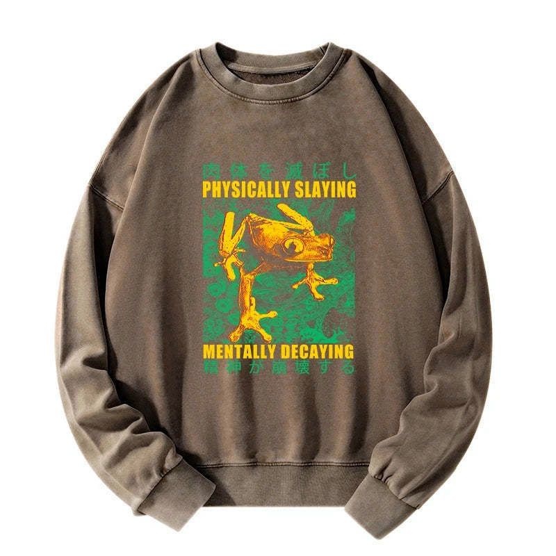 Kyoto lion washed sweatshirt streetwear