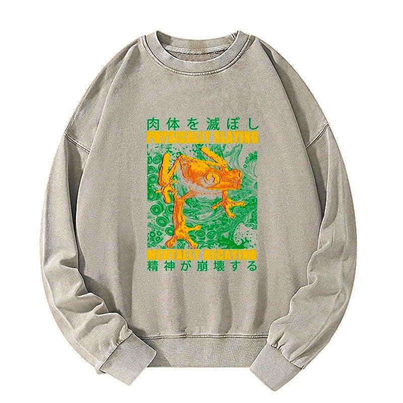 Kyoto lion washed sweatshirt streetwear