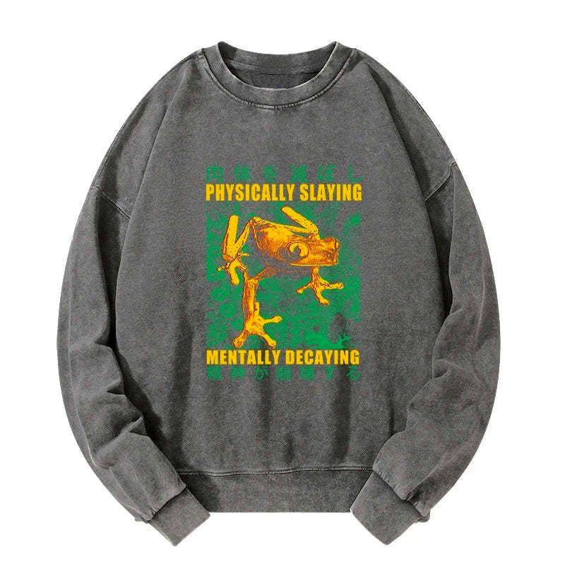 Kyoto lion washed sweatshirt streetwear