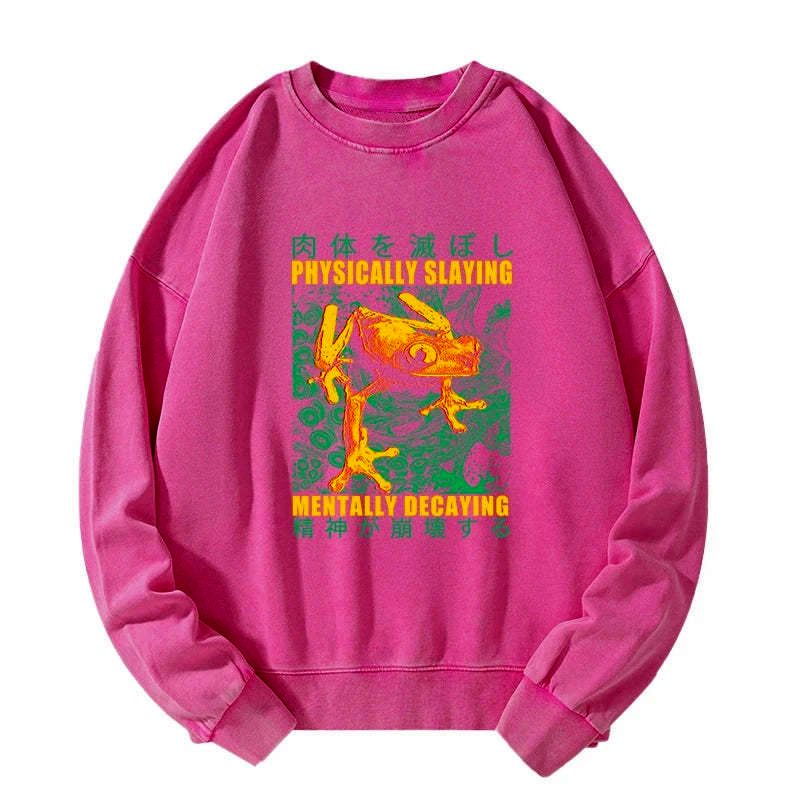 Kyoto lion washed sweatshirt streetwear
