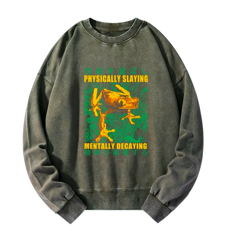 Kyoto-Lion Physically Slaying Mentally Decaying Washed Sweatshirt