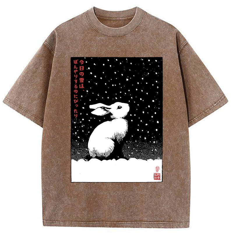 Kyoto-Lion A Snowy Day to Daydream Washed T-Shirt