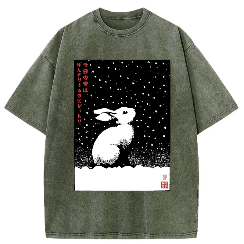 Kyoto Lion Streetwear T-Shirt