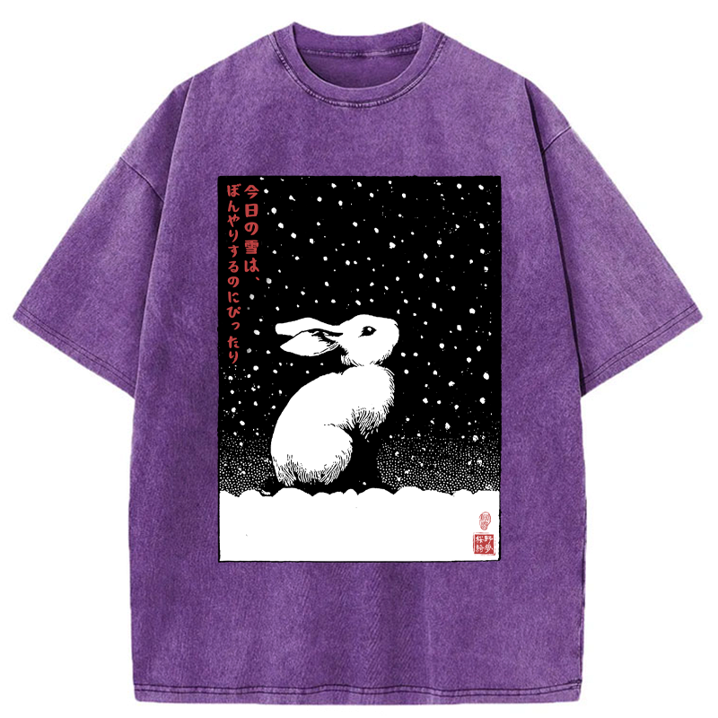 Snowy Day Washed T-Shirt for Daily Wear