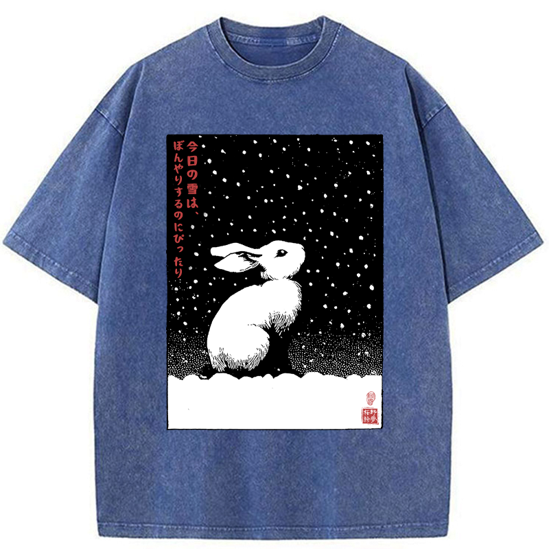 Snowy Day Washed T-Shirt for Daily Wear