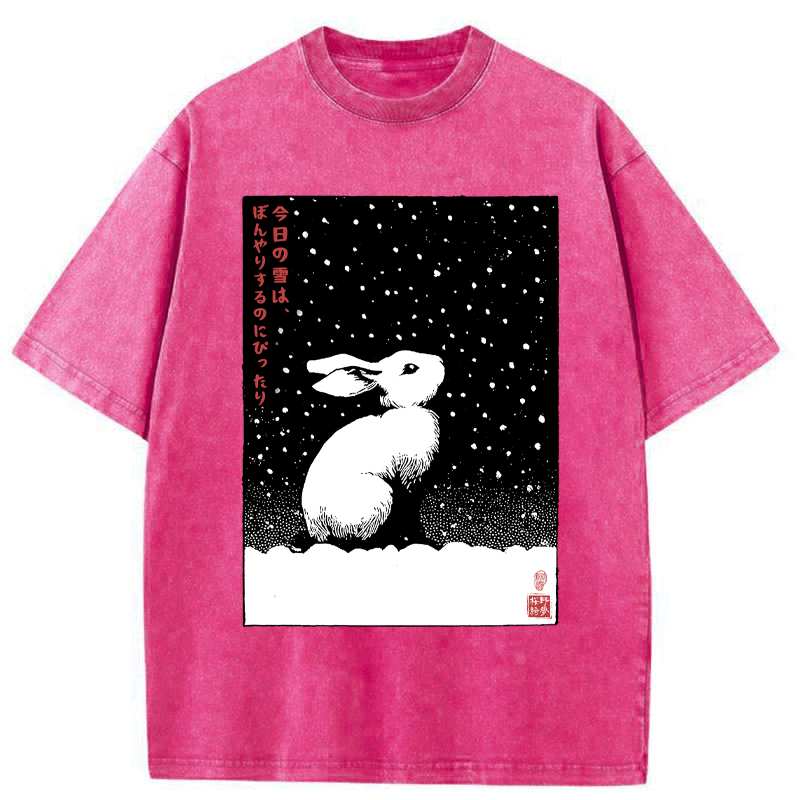 Snowy Day Washed T-Shirt for Daily Wear