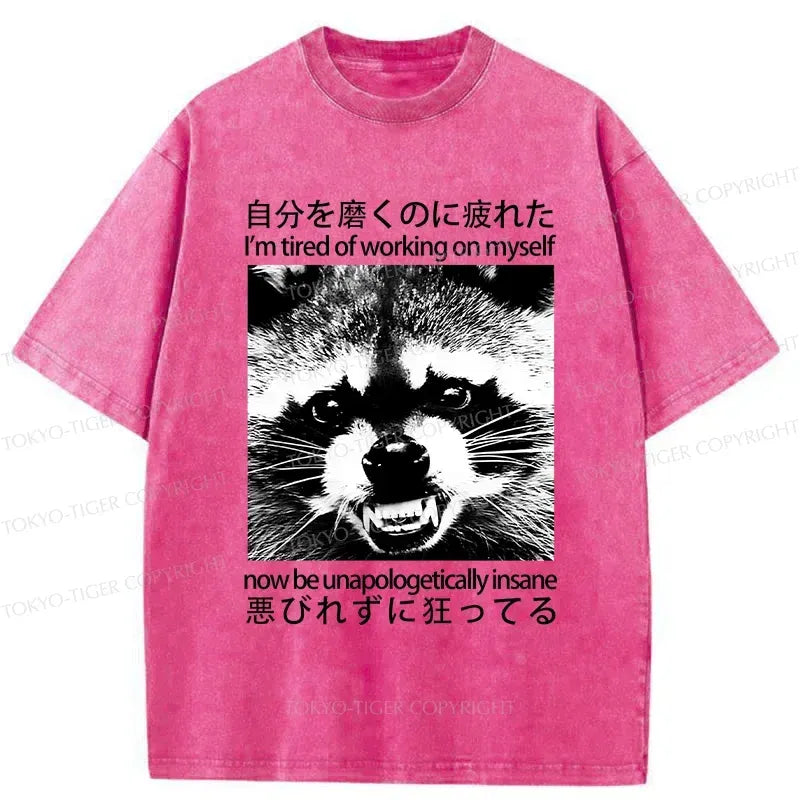 Japanese Vintage Raccoon Washed T-Shirt for Gift Idea