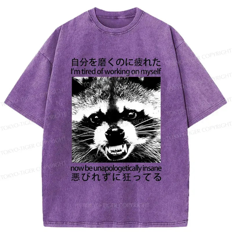 Kyoto-Lion Unisex Cotton T-Shirt for Streetwear and Daily Wear