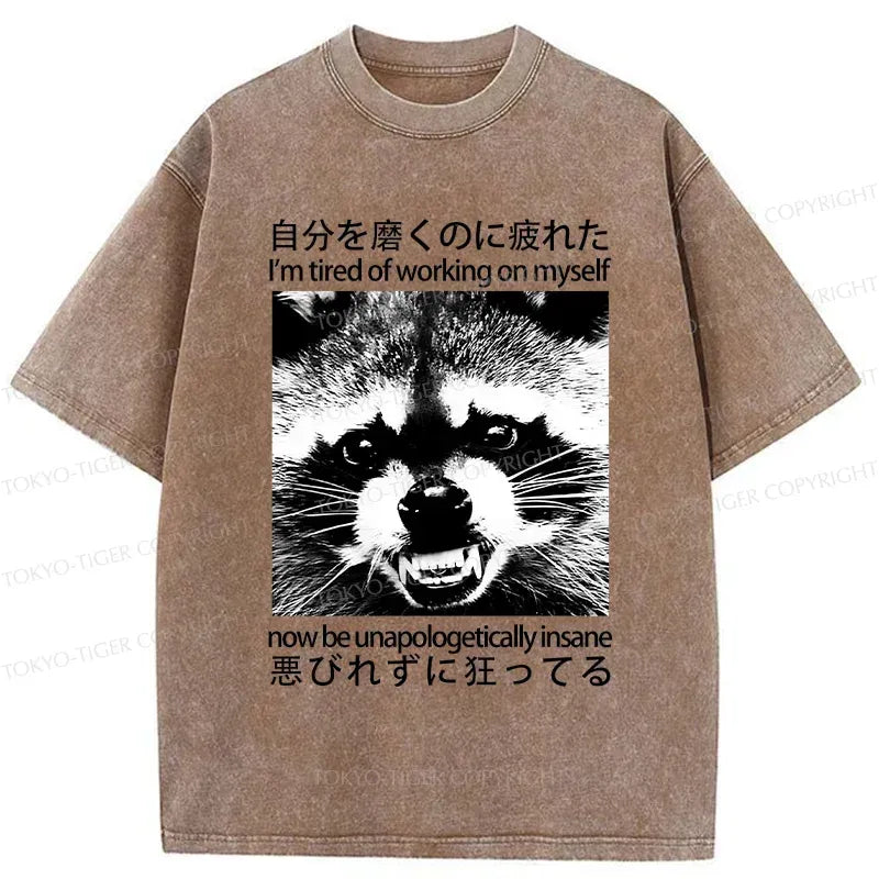 Kyoto-Lion Unisex Cotton T-Shirt for Streetwear and Daily Wear