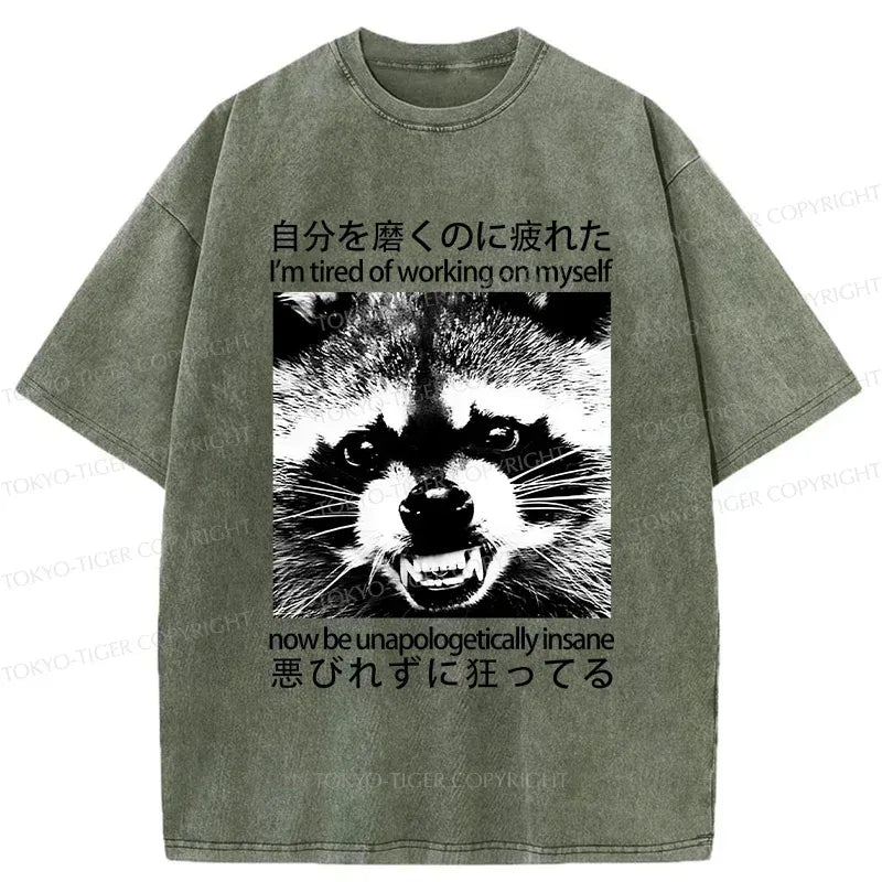 Japanese Vintage Raccoon Washed T-Shirt for Gift Idea
