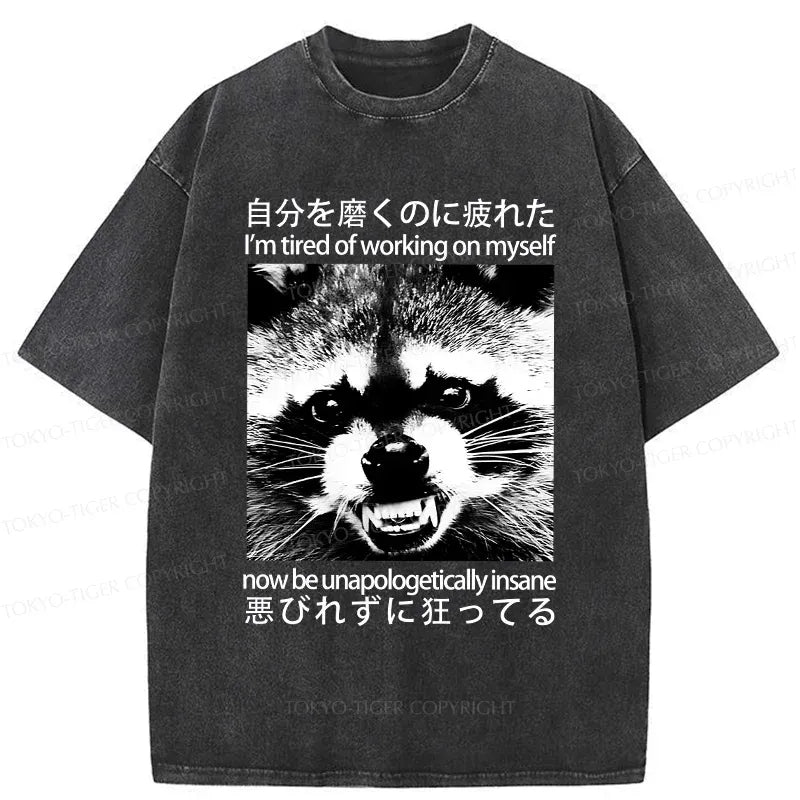 Japanese Vintage Raccoon Washed T-Shirt for Gift Idea