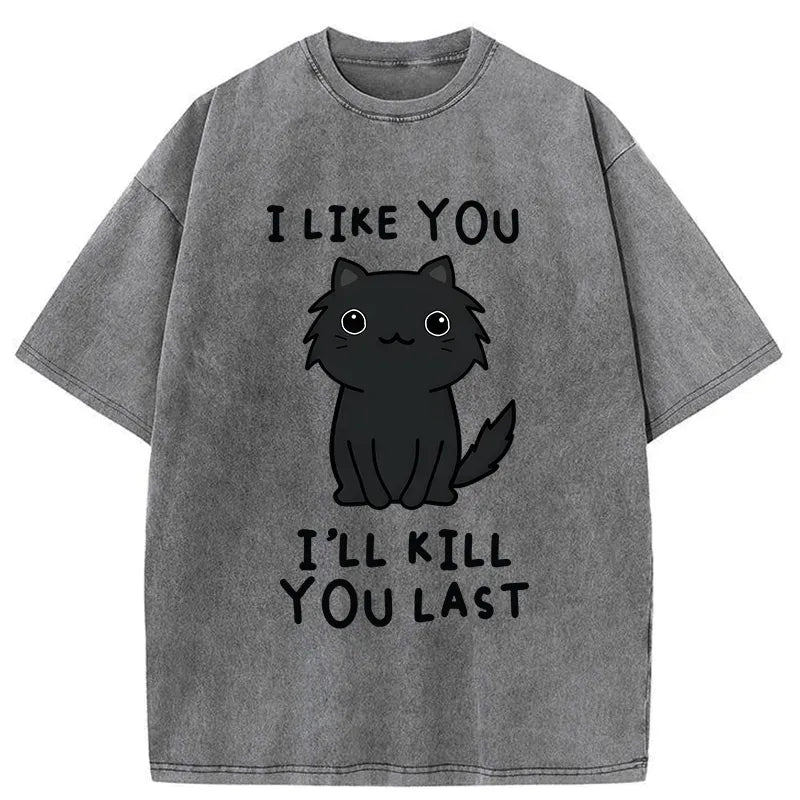 Funny Cat Assassination Tee Gift Idea