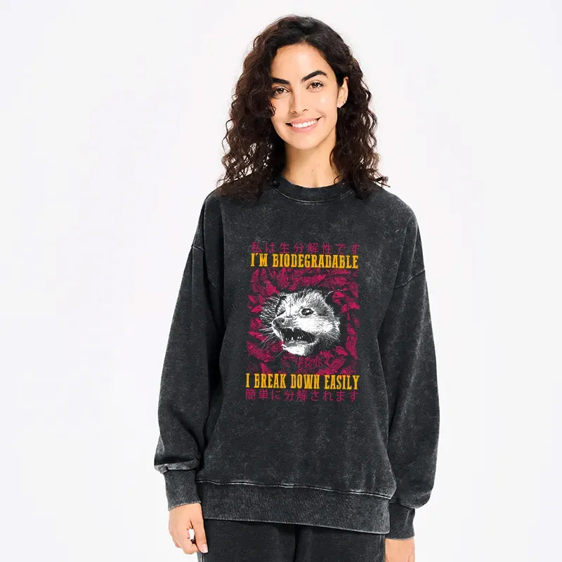 kyoto lion opossum sweatshirt gift idea