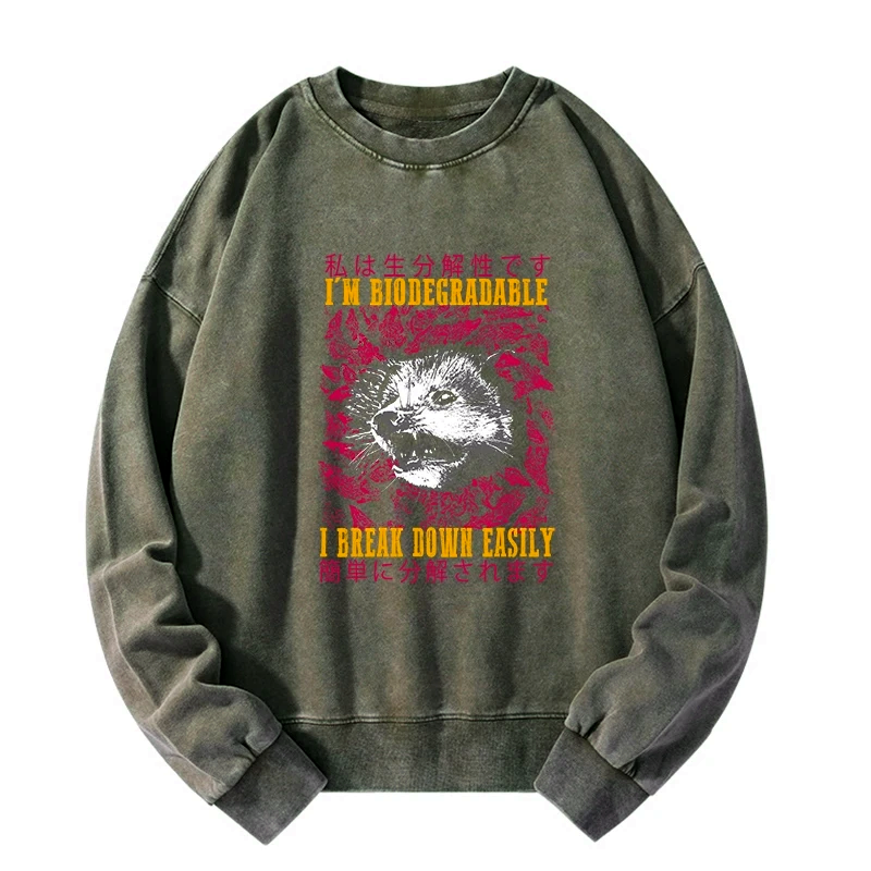 Kyoto-Lion An Easily Breakable Opossum Washed Sweatshirt