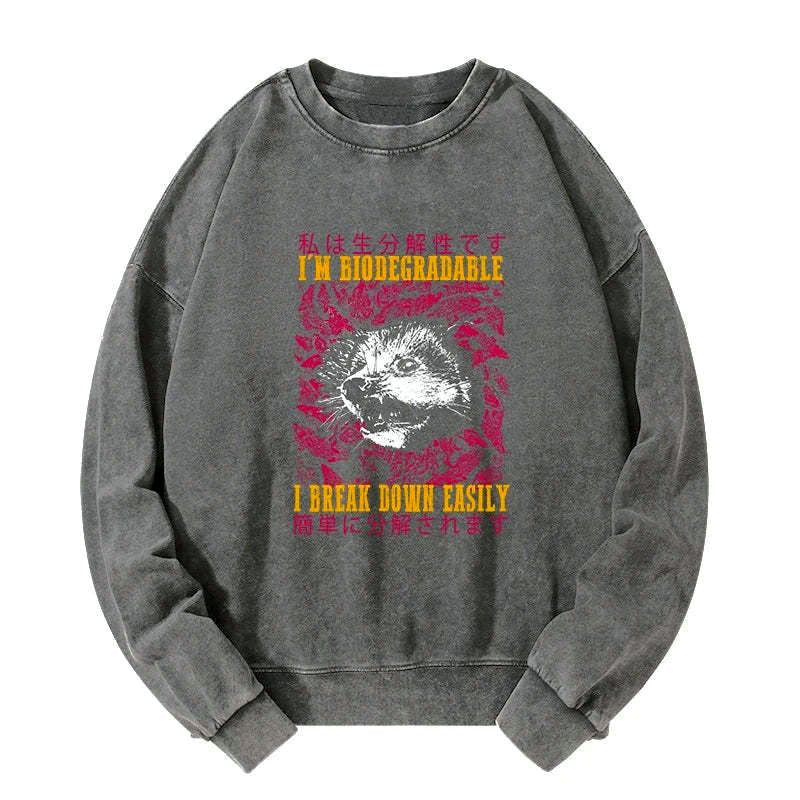 kyoto lion opossum sweatshirt gift idea