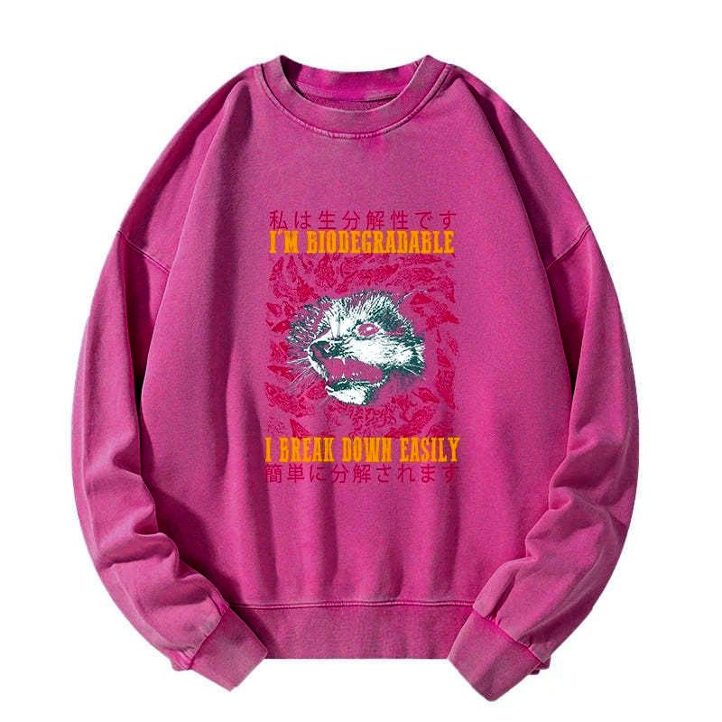 kyoto lion opossum sweatshirt gift idea