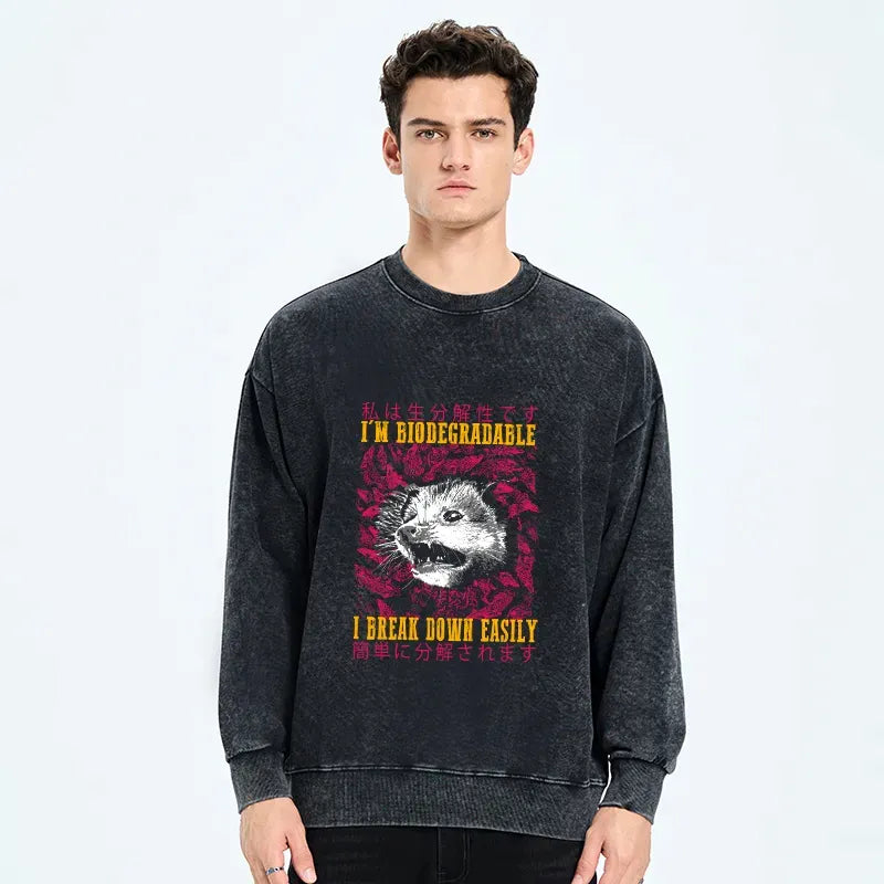 Kyoto-Lion An Easily Breakable Opossum Washed Sweatshirt