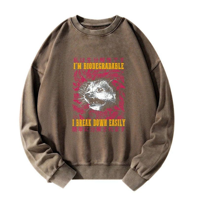 Kyoto-Lion An Easily Breakable Opossum Washed Sweatshirt