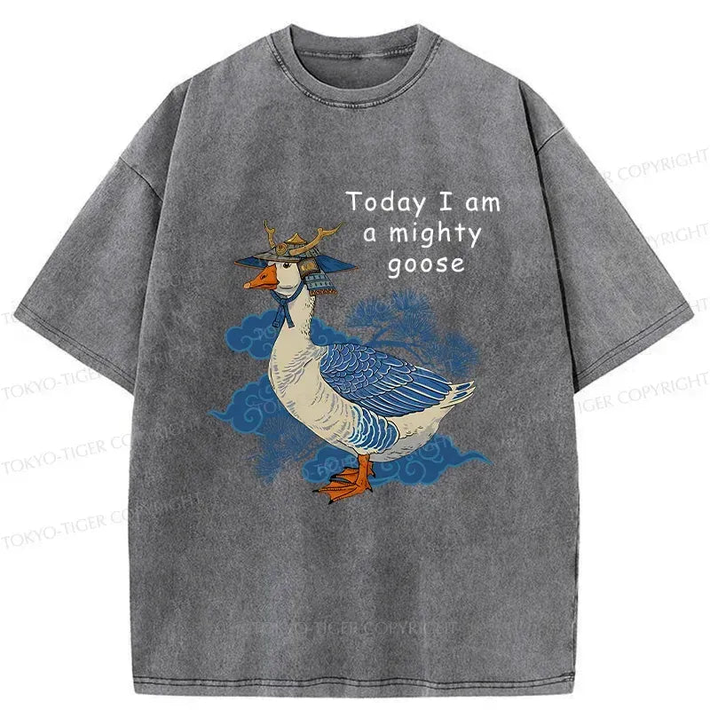 Japanese Washed T-Shirt Free Shipping