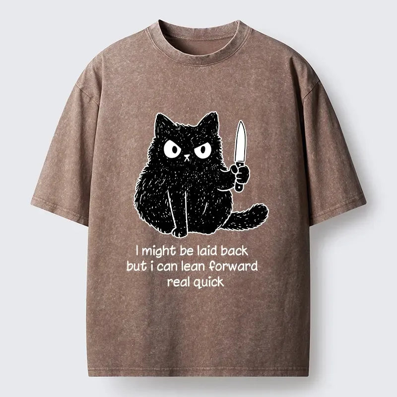 Kyoto-Lion Dont Mess With This Cat Washed T-Shirt