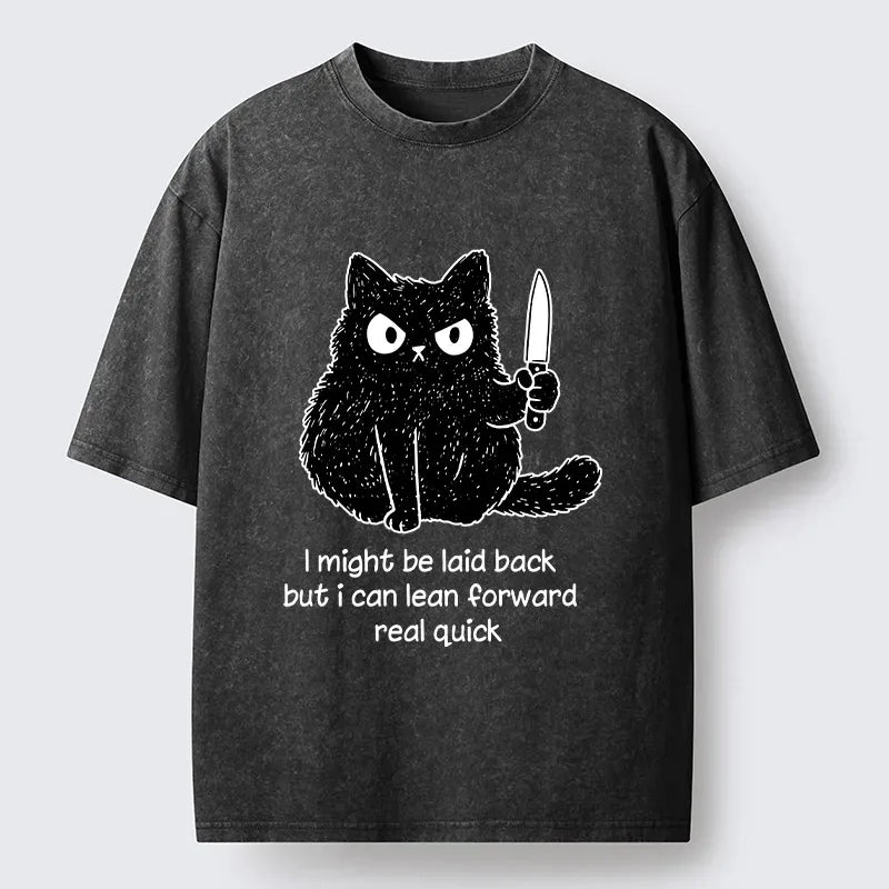Kyoto-Lion Dont Mess With This Cat Washed T-Shirt