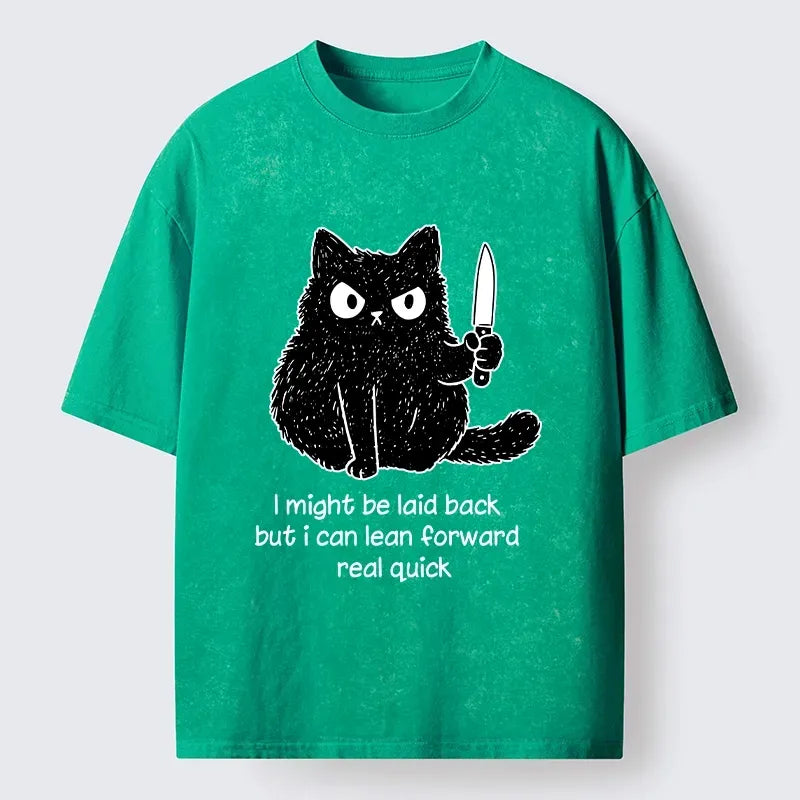 Kyoto-Lion Dont Mess With This Cat Washed T-Shirt