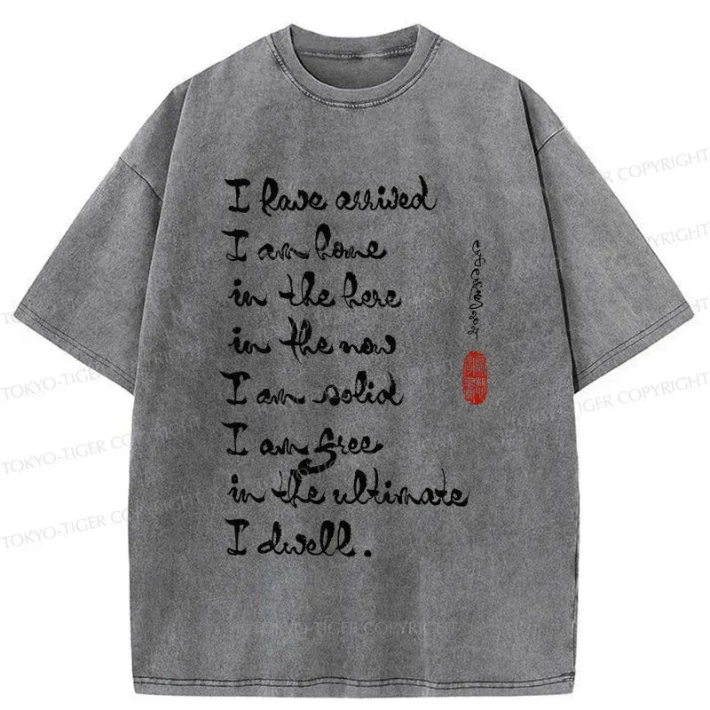 kyoto lion vintage t-shirt for streetwear