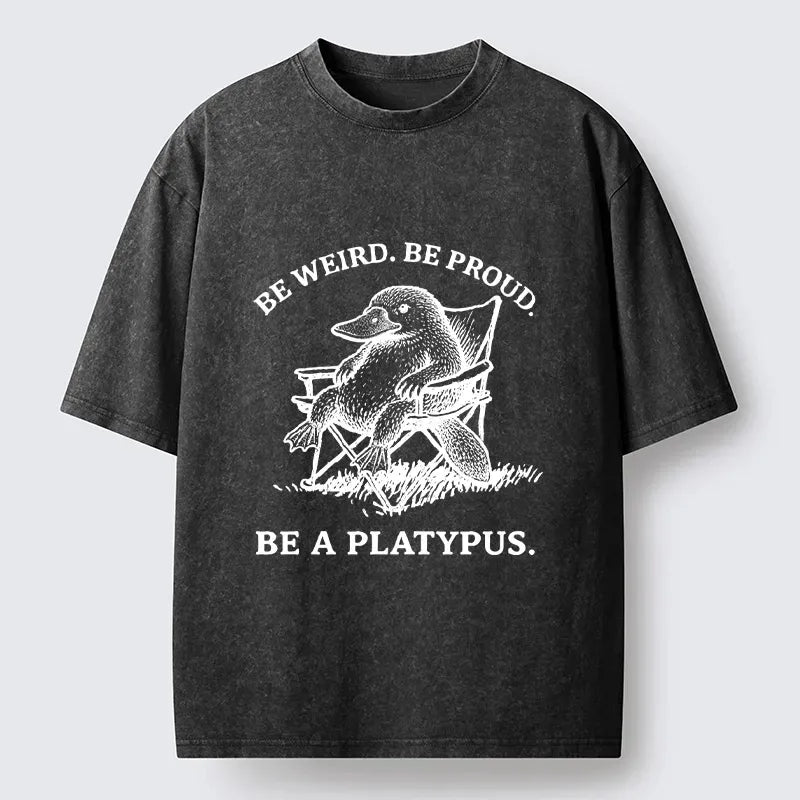 Trendy Japanese Streetwear Cotton Tee