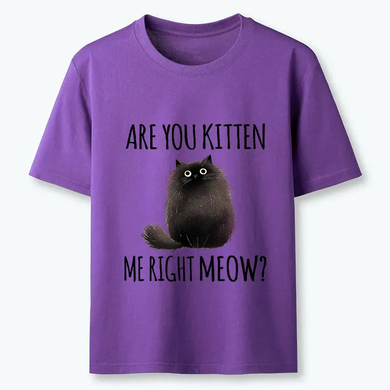 Kyoto-Lion Kitten Me Right Meow Classic T-Shirt