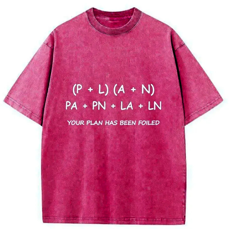 Kyoto-Lion The Plan Failed Washed T-Shirt