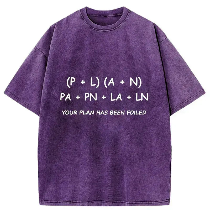 Kyoto-Lion The Plan Failed Washed T-Shirt