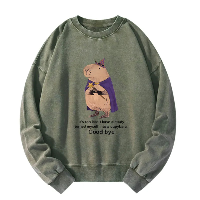Kyoto-Lion Funny Wizard Capybara Washed Sweatshirt