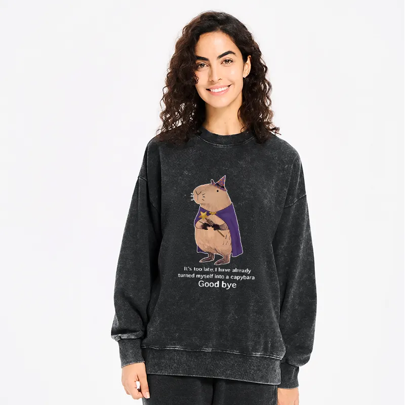 Kyoto-Lion Funny Wizard Capybara Washed Sweatshirt