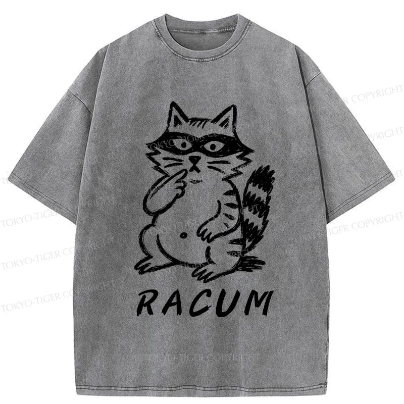 Japanese Kyoto-Lion Washed T-Shirt for Everyday
