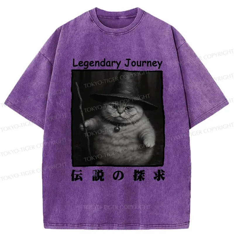 Kyoto-Lion The Legendary Journey Of Cat Washed T-Shirt