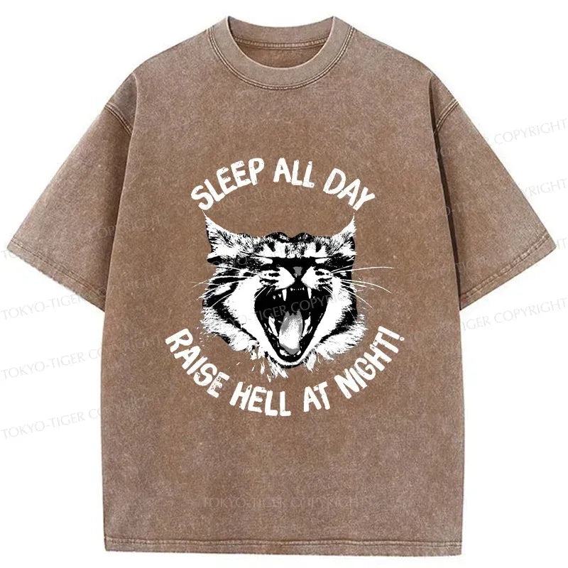 Kyoto-Lion Cat Wreaking Havoc At Night Washed T-Shirt