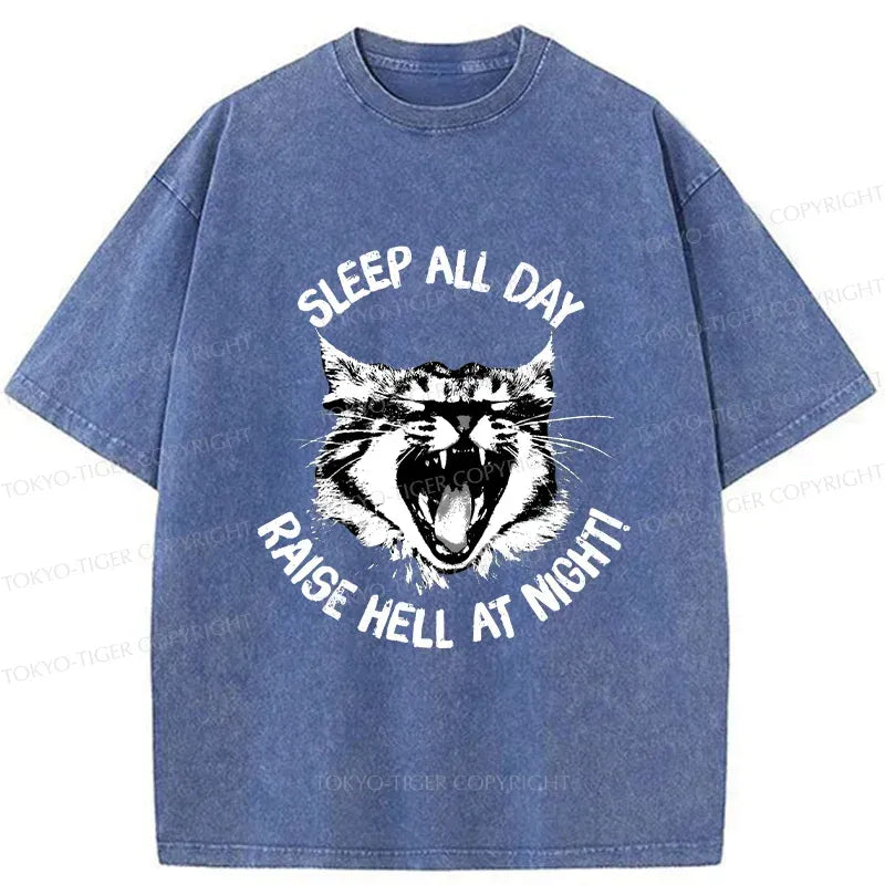 Kyoto-Lion Cat Wreaking Havoc At Night Washed T-Shirt