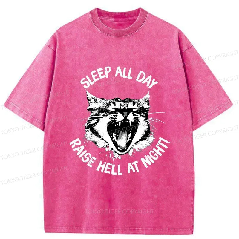 Kyoto lion cat tee free shipping