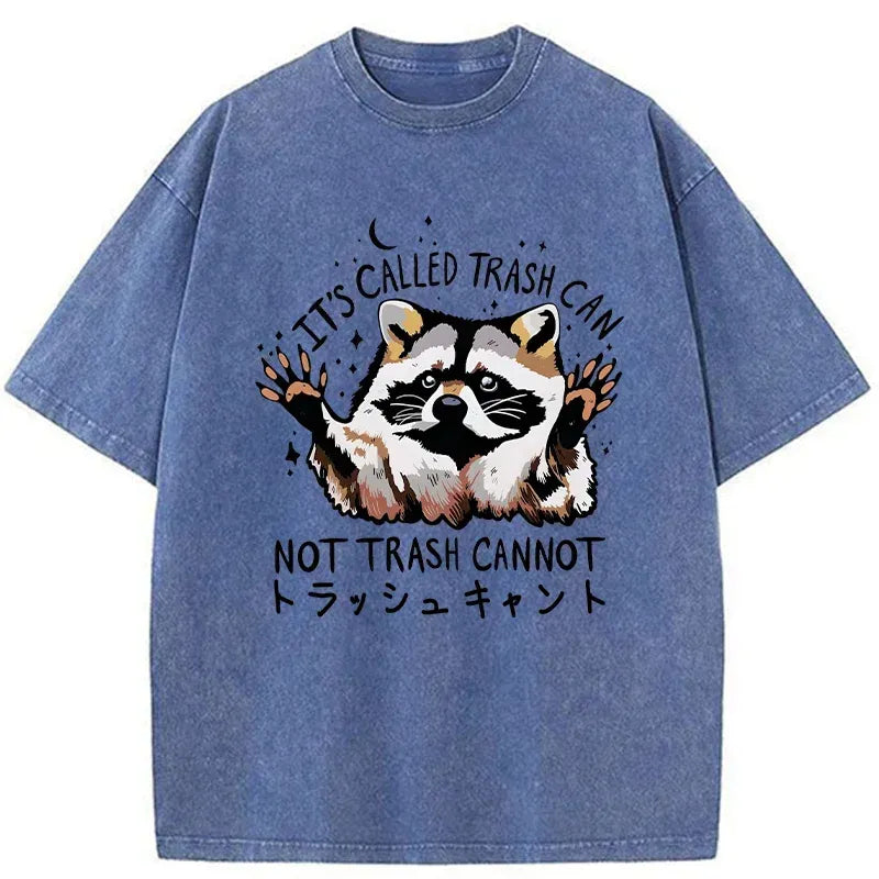 best seller cute raccoon washed t-shirt