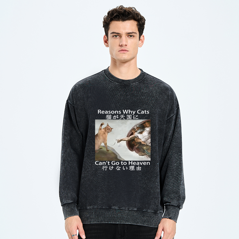 Kyoto Cat Sweatshirt Free Shipping Deal