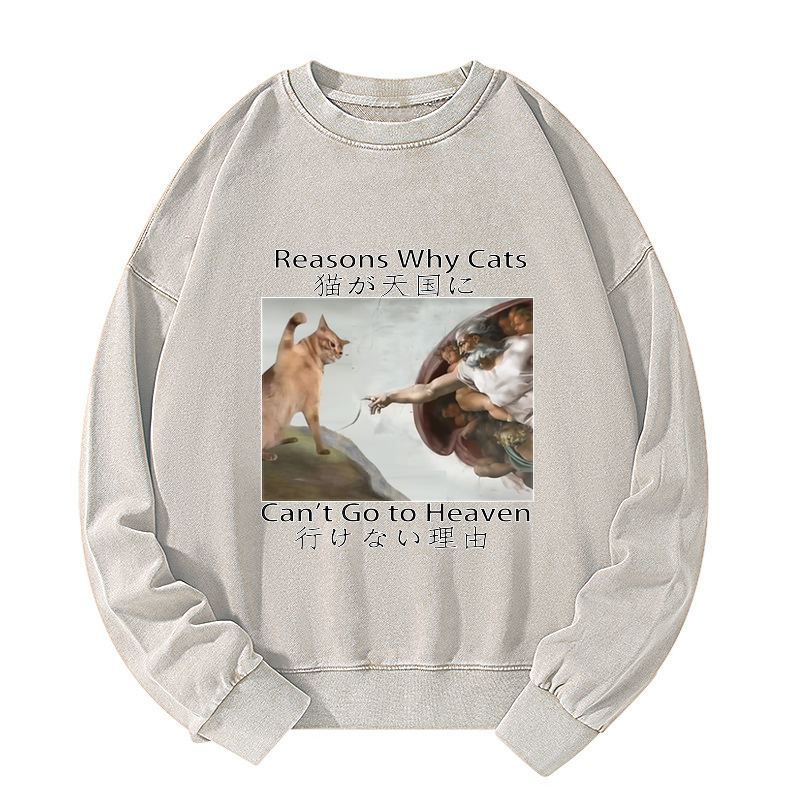 Kyoto-Lion Naughty Cat Can't Go To Heaven Washed Sweatshirt
