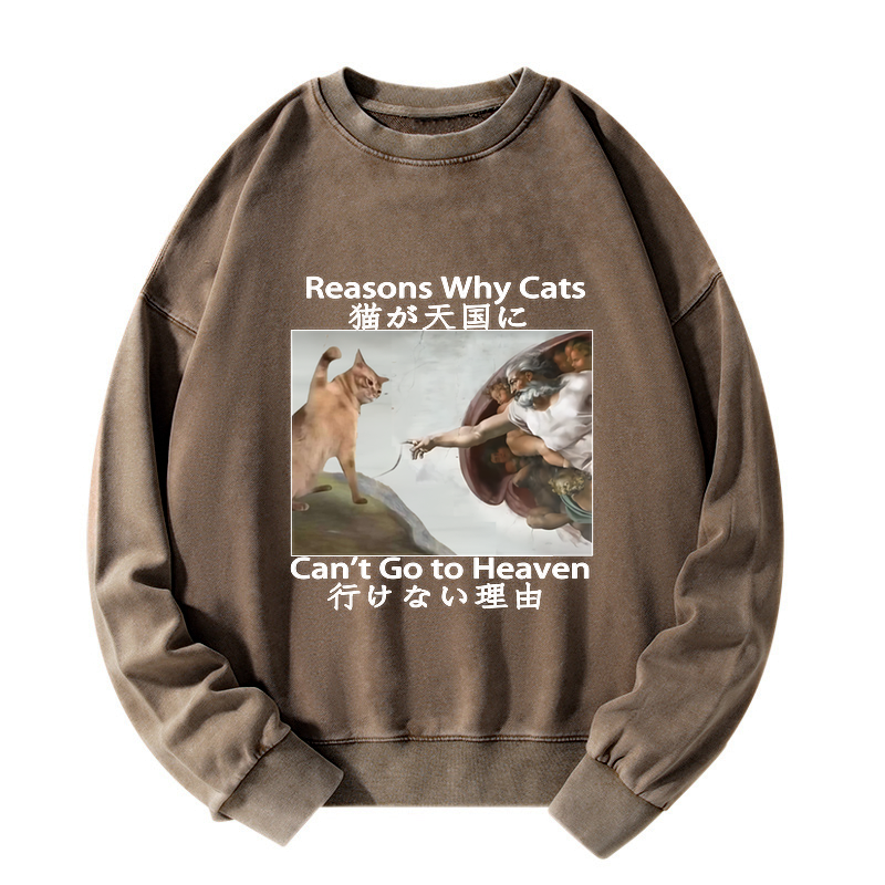Japanese Washed Cat Sweatshirt for Daily Wear