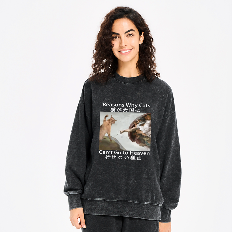 Kyoto-Lion Naughty Cat Can't Go To Heaven Washed Sweatshirt