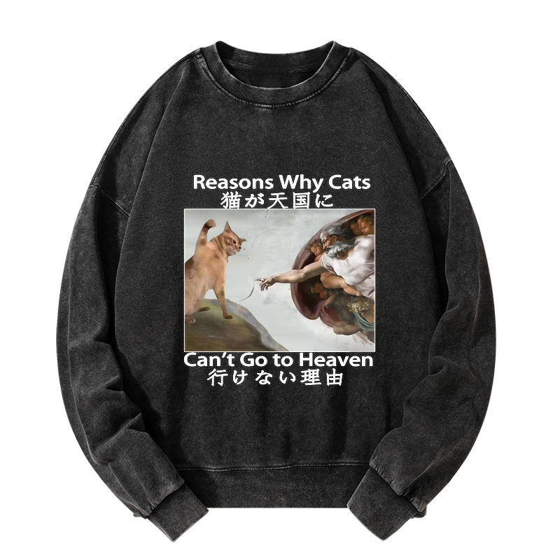 Japanese Washed Cat Sweatshirt for Daily Wear