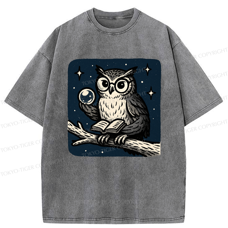 Japanese owl washed t-shirt for daily wear