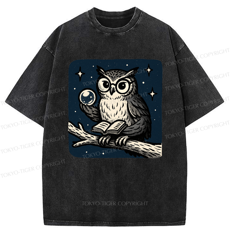 Japanese owl washed t-shirt for daily wear
